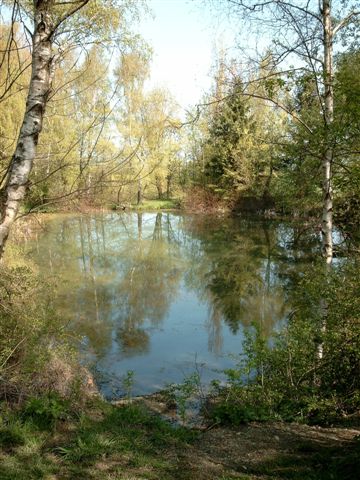 Eichenborn Teich